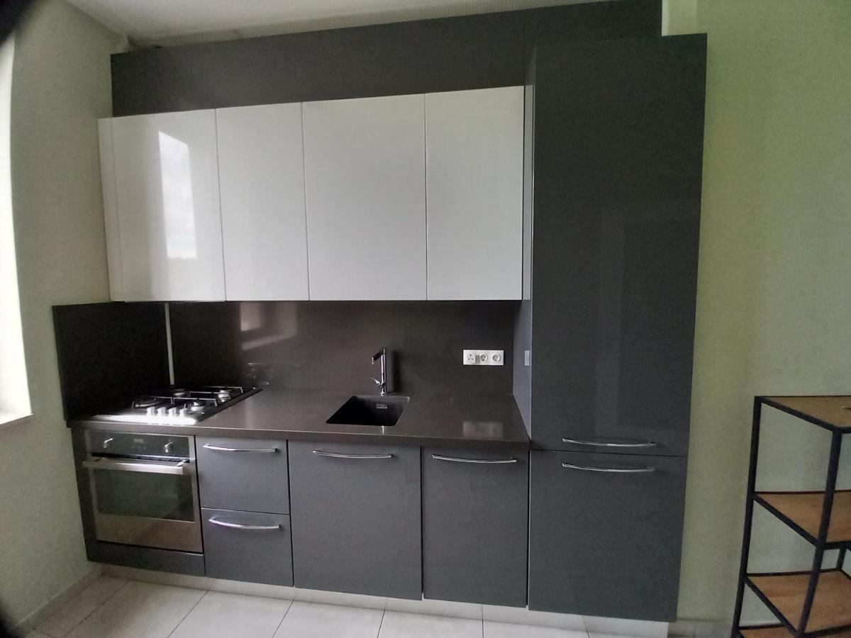 Herastrau Apartment بوخارست المظهر الخارجي الصورة