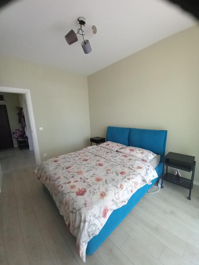 Herastrau Apartment بوخارست المظهر الخارجي الصورة