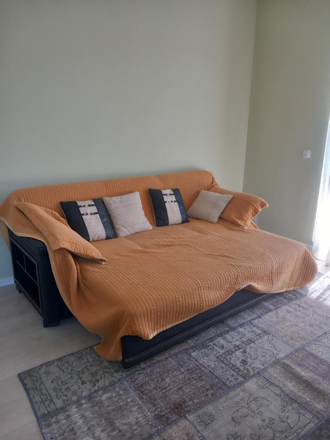 Herastrau Apartment بوخارست المظهر الخارجي الصورة