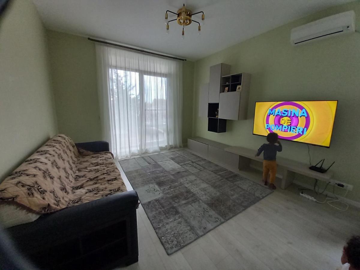 Herastrau Apartment بوخارست المظهر الخارجي الصورة