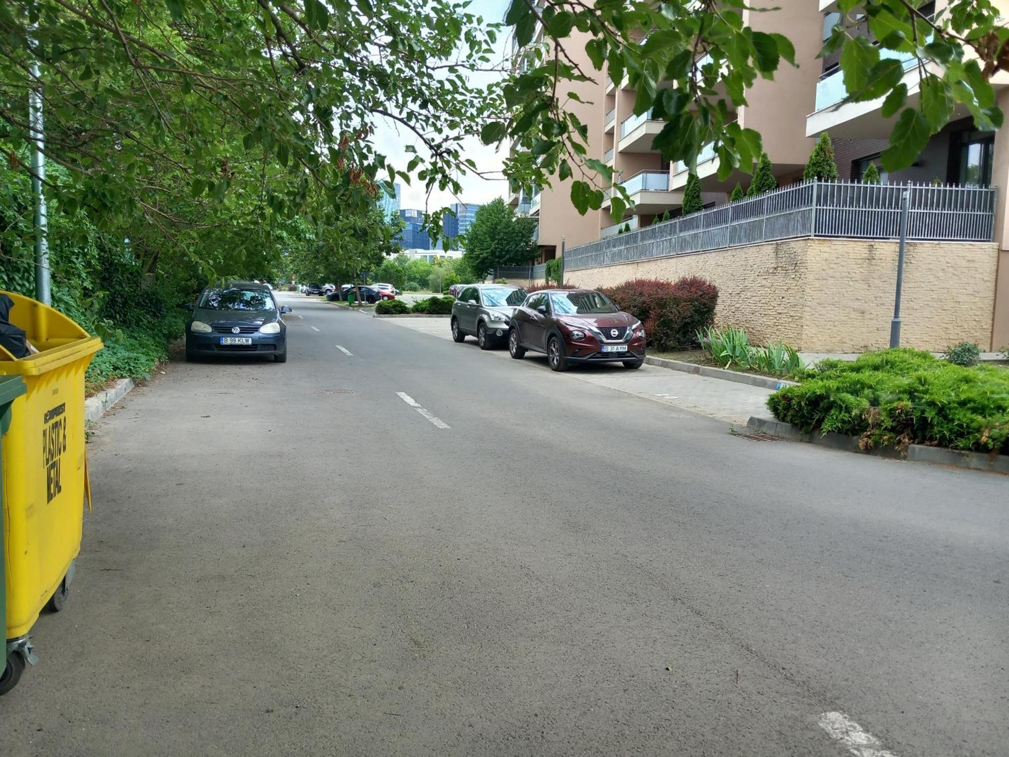 Herastrau Apartment بوخارست المظهر الخارجي الصورة